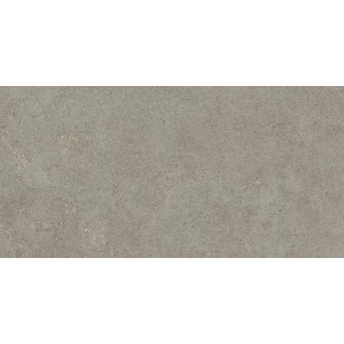 Керамогранит Atlas Concorde Forte dei Marmi Rock Lunar Grey Matt Rett матовый серый 610010005821 120х60 см