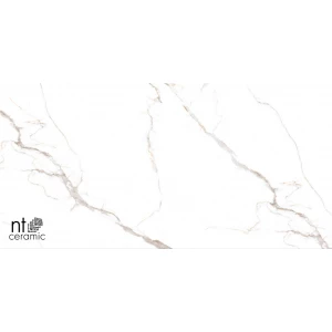 Керамогранит NT Ceramic Bright and Shiny NTT9122M Barbara White mat Матовый NTT9122M 120х60 см