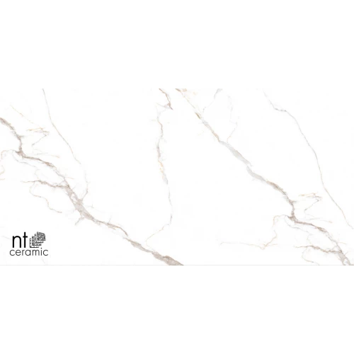 Керамогранит NT Ceramic Bright and Shiny NTT9122M Barbara White mat Матовый NTT9122M 120х60 см