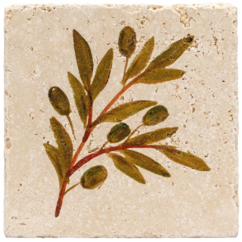 Натуральный травертин Stone4Home Provance Оливки №6 10x10 см