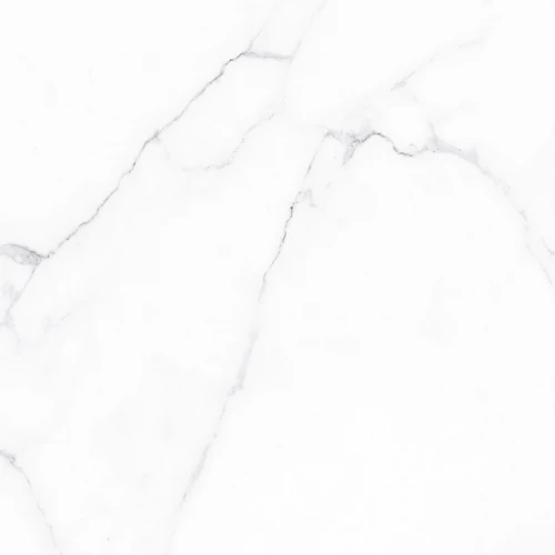 Керамогранит ALMA Ceramica Carrara GFU04CRR00R 60х60