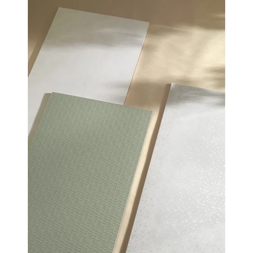 Плитка настенная Mirage Террае Бланс Та 01 Идро Раин / Terrae Blanc Ta 01 Idro Rain матовая белая CHI8 120х50 см