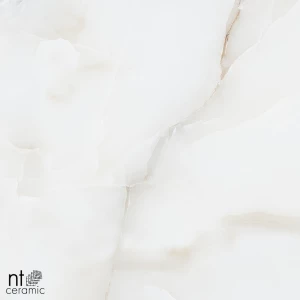 Керамогранит NT Ceramic Onyx Majestic Полированный NTT995030P 60х60 см