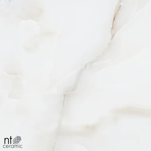 Керамогранит NT Ceramic Onyx Majestic Полированный NTT995030P 60х60 см