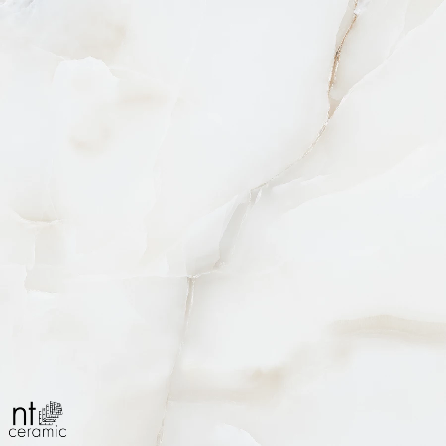 Керамогранит NT Ceramic Onyx Majestic Полированный NTT995030P 60х60 см