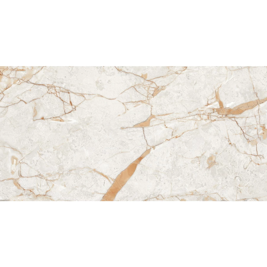 Керамогранит Neodom Sale Rosalia Polished CV20196 120x60 см