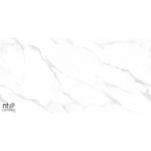 Керамогранит NT Ceramic Marmo Statuario Endless Полированный NTT99506P 120х60 см
