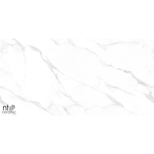 Керамогранит NT Ceramic Marmo Statuario Endless Полированный NTT99506P 120х60 см