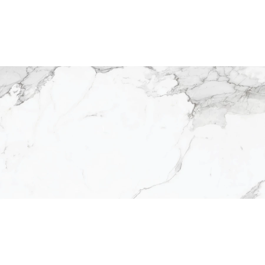 Керамогранит Dogma Project Antibacterial Venato Silk Natural Rettificato белый DPA601236SN 120х60 см