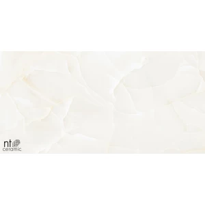 Керамогранит NT Ceramic Onyx Predo Полированный NTT99504P 120х60 см