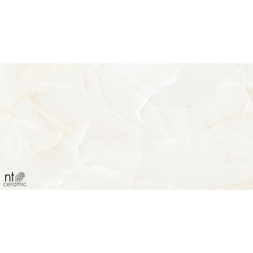 Керамогранит NT Ceramic Onyx Predo Полированный NTT99504P 120х60 см