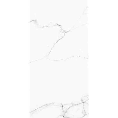 Керамогранит Naxos Rhapsody White Beauty nat ret 120126 120х60 см