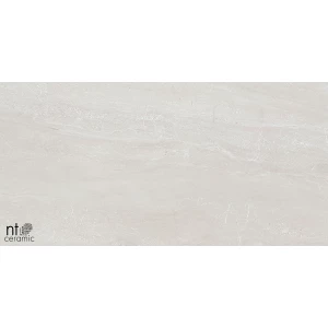 Керамогранит NT Ceramic Zeus NTT9702 Полированный ZS612NTT9702P 120х60 см