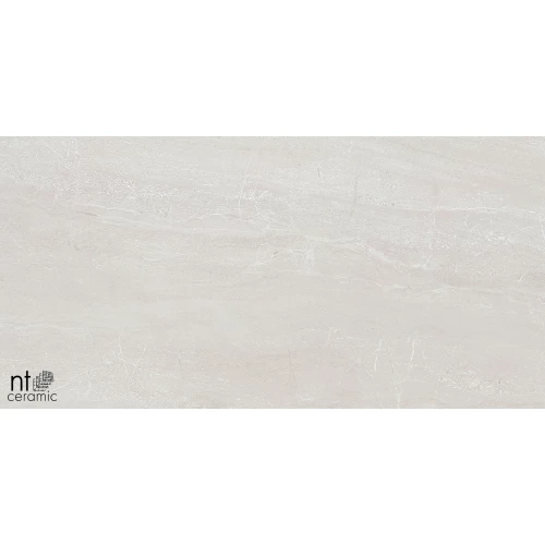 Керамогранит NT Ceramic Zeus NTT9702 Полированный ZS612NTT9702P 120х60 см