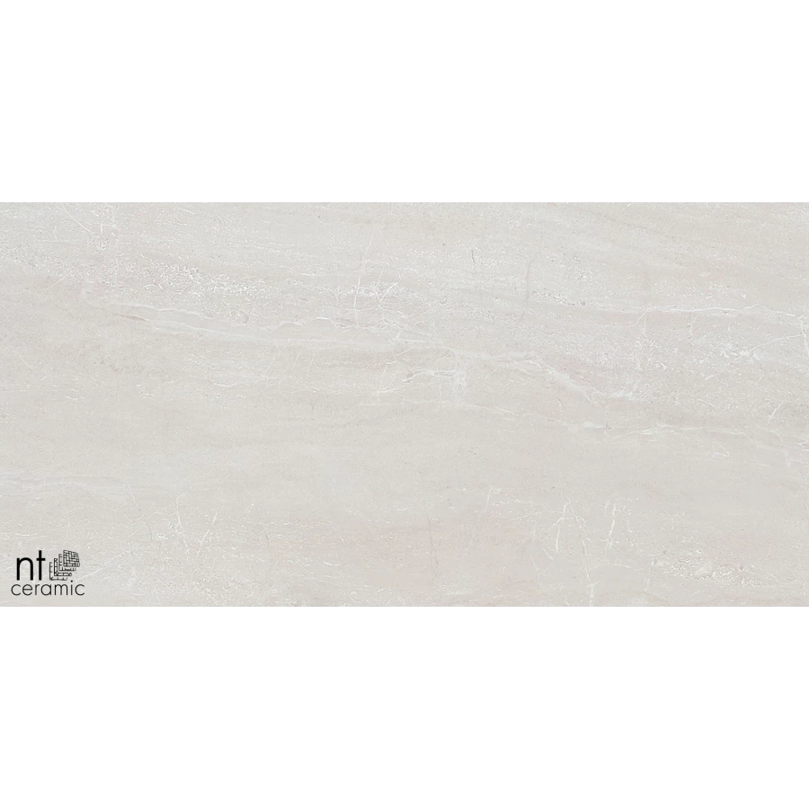 Керамогранит NT Ceramic Zeus NTT9702 Полированный ZS612NTT9702P 120х60 см