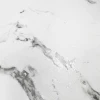 Керамогранит Arcadia Ceramica Borghini Silver Carving белый CR4006-A 60х60 см
