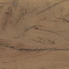 Плитка напольная Peronda FS Forest Plank Natural матовая коричневая 0100039699 45х7,3 см