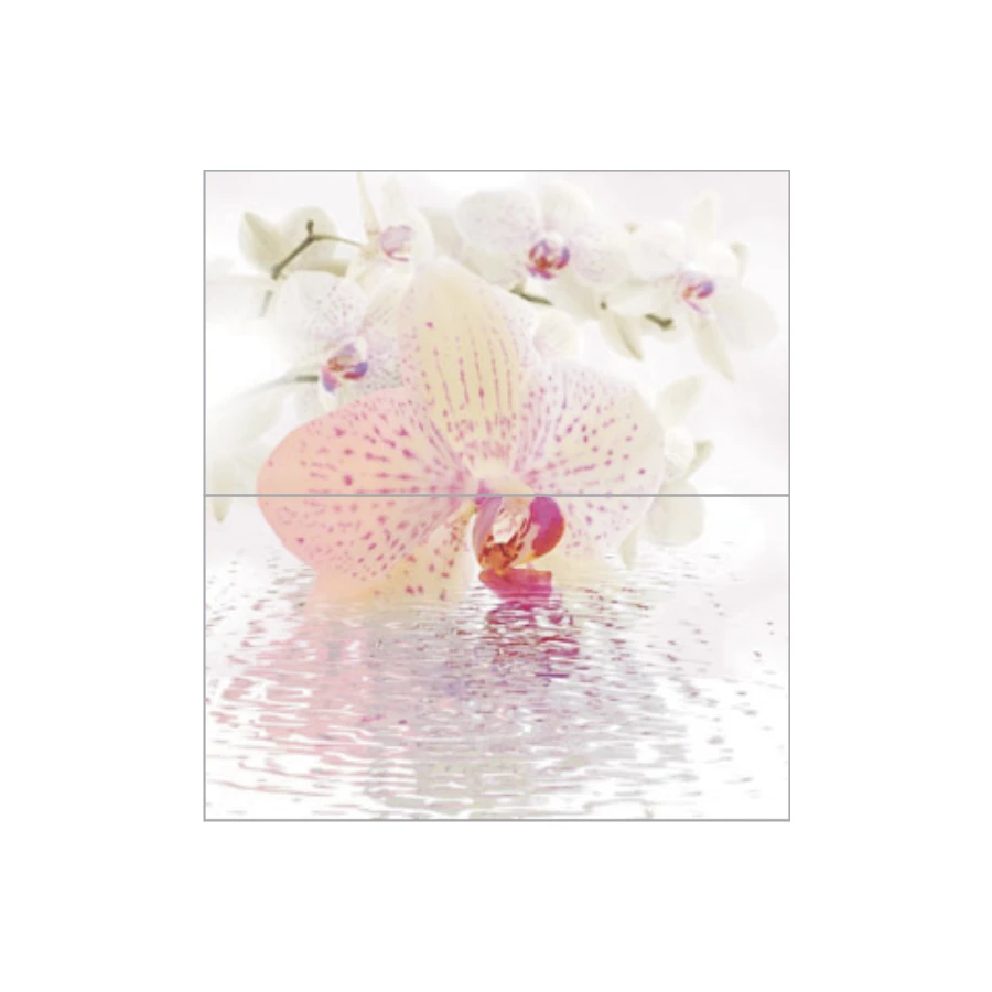 Панно Ceradim Dec Orchid панно из 2-х шт КПН16Orchid 50х45
