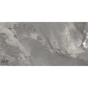 Керамогранит NT Ceramic Marmo Collin Natural Полированный NTT99501P 120х60 см