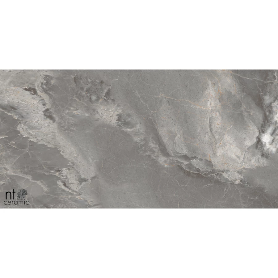 Керамогранит NT Ceramic Marmo Collin Natural Полированный NTT99501P 120х60 см