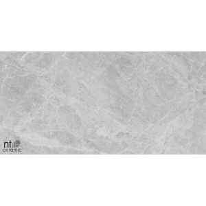 Керамогранит NT Ceramic Bright and Shiny Tundra Pearl mat Матовый NTT9118M 120х60 см