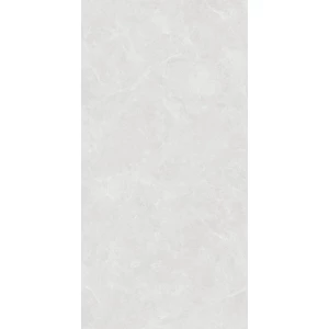 Керамогранит Creanza Oviedo Silver Solido матовый с микрогранулами светло-серый SL1003-A 120х60 см