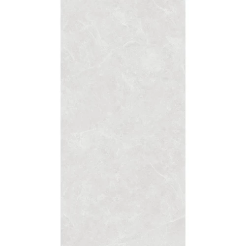 Керамогранит Creanza Oviedo Silver Solido матовый с микрогранулами светло-серый SL1003-A 120х60 см