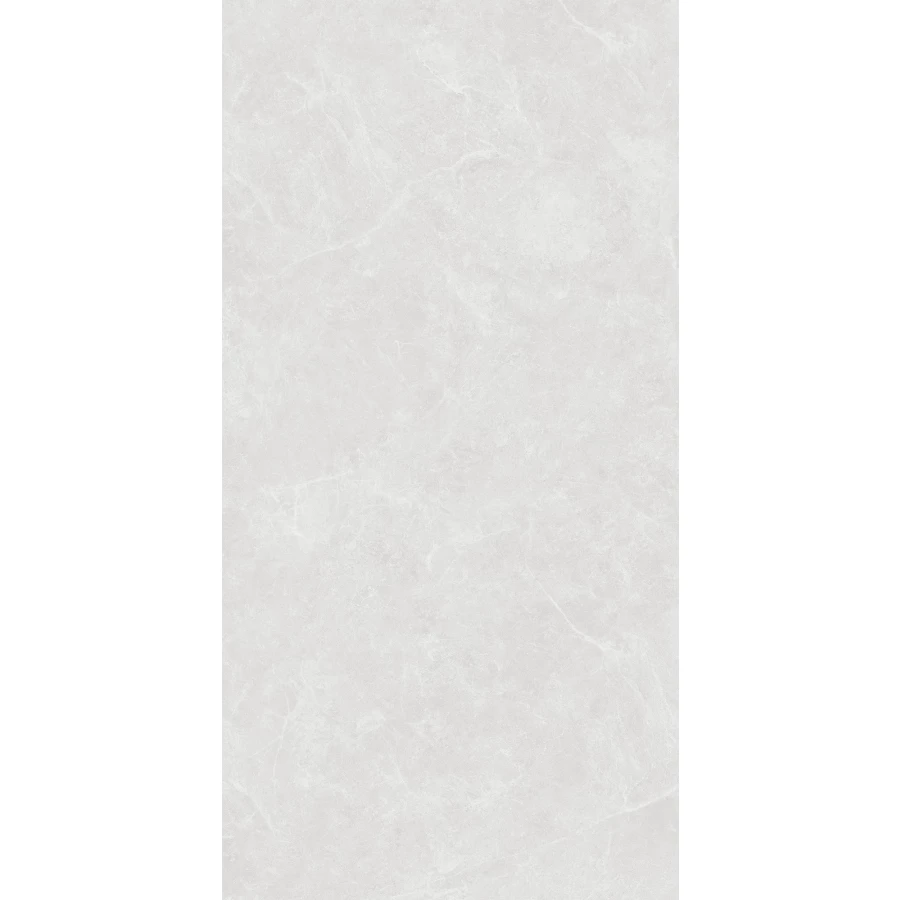 Керамогранит Creanza Oviedo Silver Solido матовый с микрогранулами светло-серый SL1003-A 120х60 см