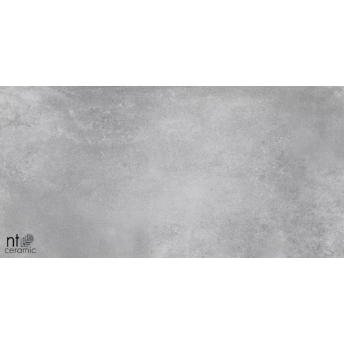 Керамогранит NT Ceramic Cemento Grey Матовый NTT99603M 120х60 см