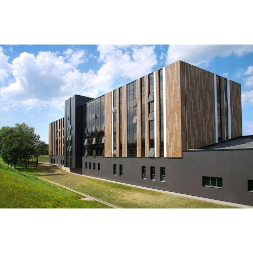 Керамогранит Idalgo Granite Wood Ego Brown LR ID9023P053LR 120х29,5 см