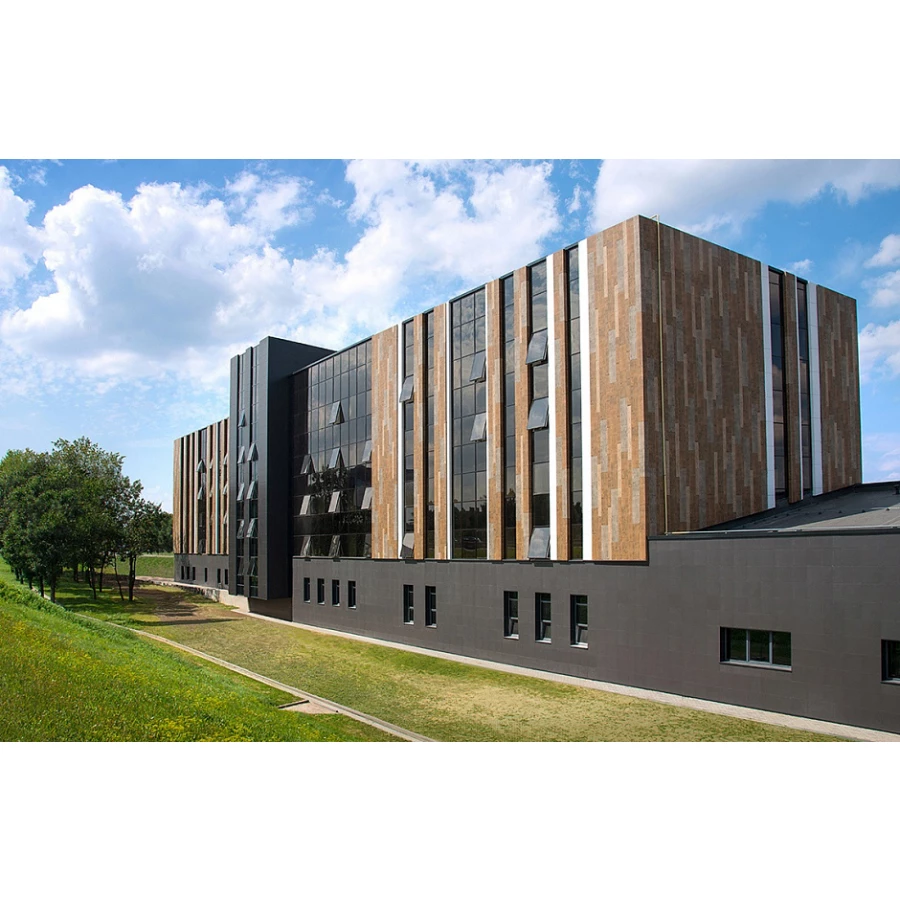 Керамогранит Idalgo Granite Wood Ego Brown LR ID9023P053LR 120х29,5 см