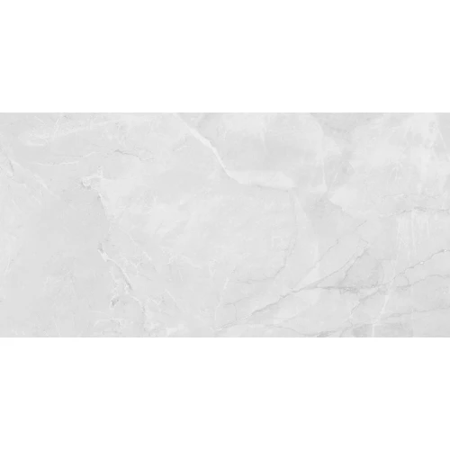 Керамогранит Laparet Berna Silver матовый светло-серый LP6012G0231R 119,1х59,5 см