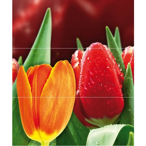Панно Cerrol Syntia Tulip А из 3пл 60х50