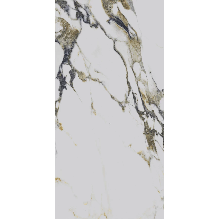 Керамогранит Primavera Fantasy Mix polished 1,44 м2 48,96 м2 PR219 120х60 см