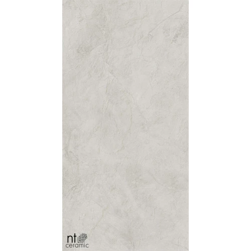 Керамогранит NT Ceramic Granite Obelisk Ash Лаппатированный NTT99612L 120х60 см