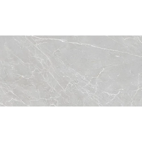 Керамогранит Duna Eternal Grigio Carving светло-серый RP-238576 120х60 см