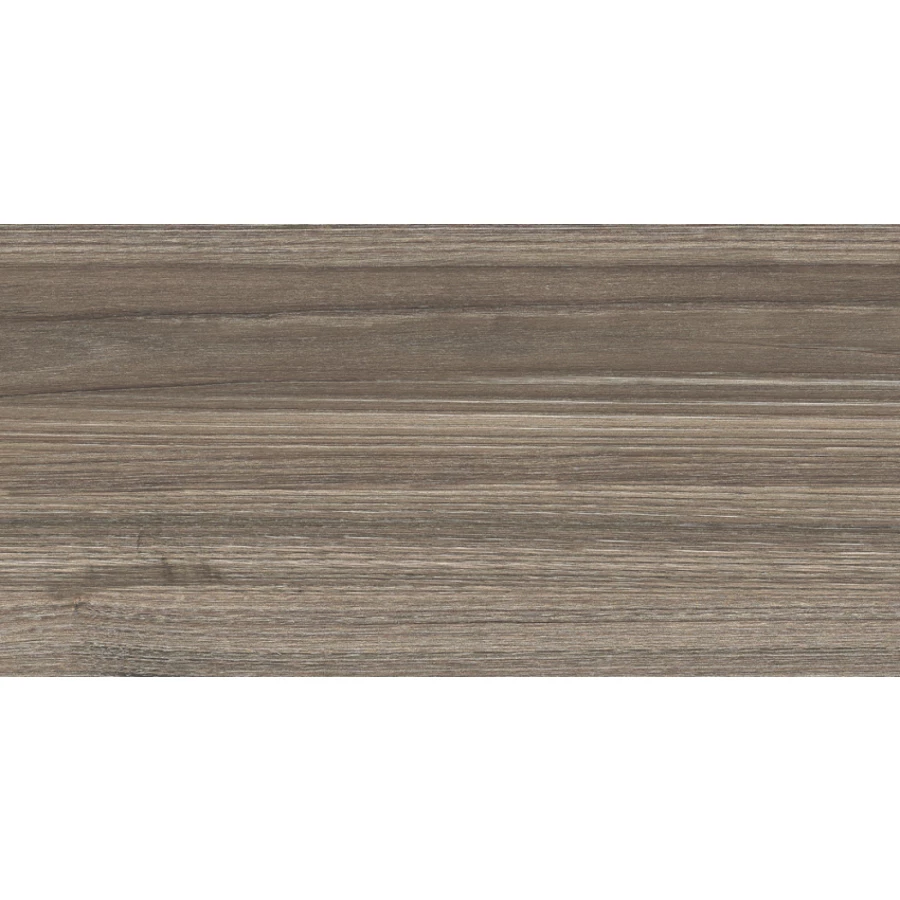 Плитка настенная New Trend Essense Brown WT9ESS08 24.9*50