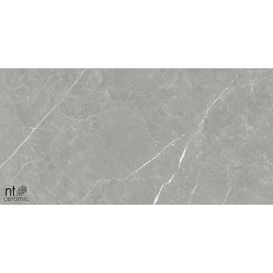 Керамогранит NT Ceramic Pietra NTT1102 Лаппатированный PT612NTT1102L 120х60 см