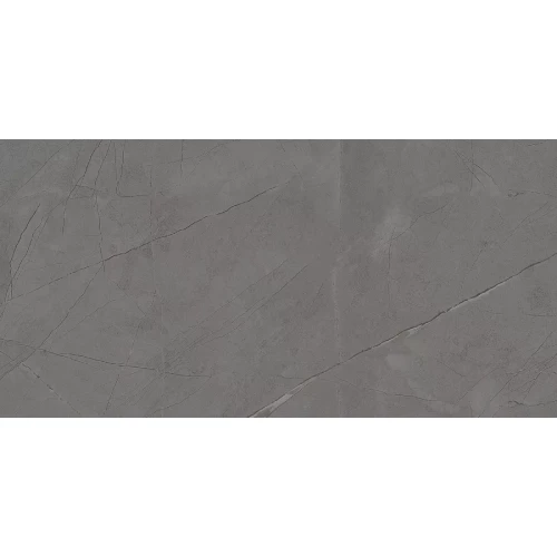 Керамогранит Art Ceramic Spenze Gris Rustic Carving 2,16 кв м серый 120х60 см