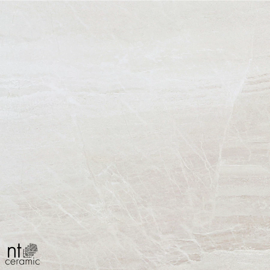 Керамогранит NT Ceramic Zeus NTT9702 Матовый ZS6NTT9702M 60х60 см