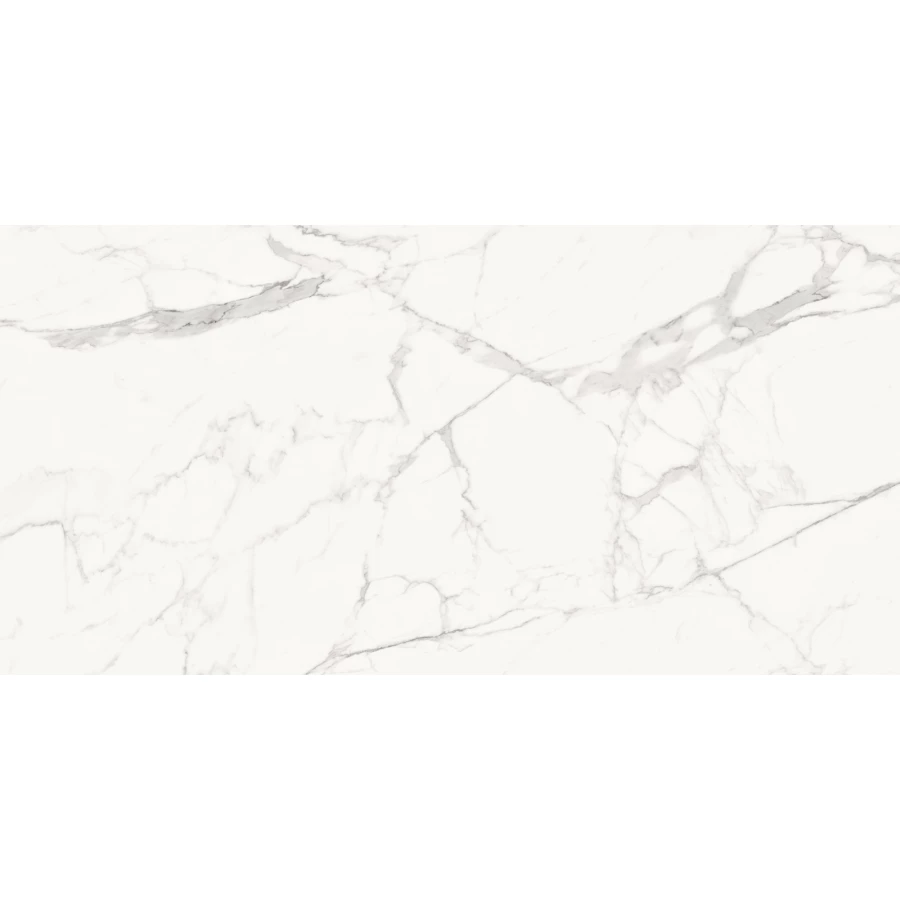 Керамогранит Delacora Porfido Carrara матовый белый 60120PFC15M 120х60 см