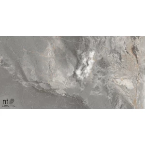 Керамогранит NT Ceramic Marmo Collin Natural Полированный NTT99501P 120х60 см