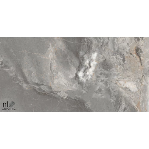 Керамогранит NT Ceramic Marmo Collin Natural Полированный NTT99501P 120х60 см