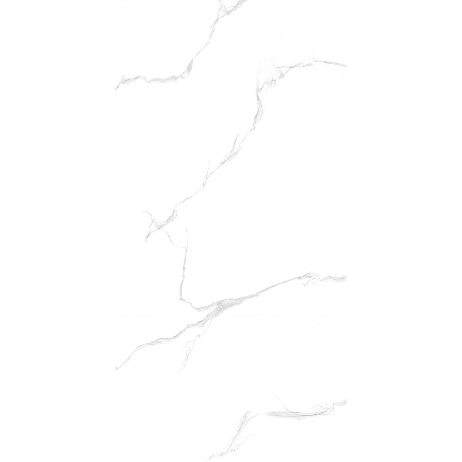 Керамогранит Maimoon Ceramica Maimoon Silver satuario 120х60 см