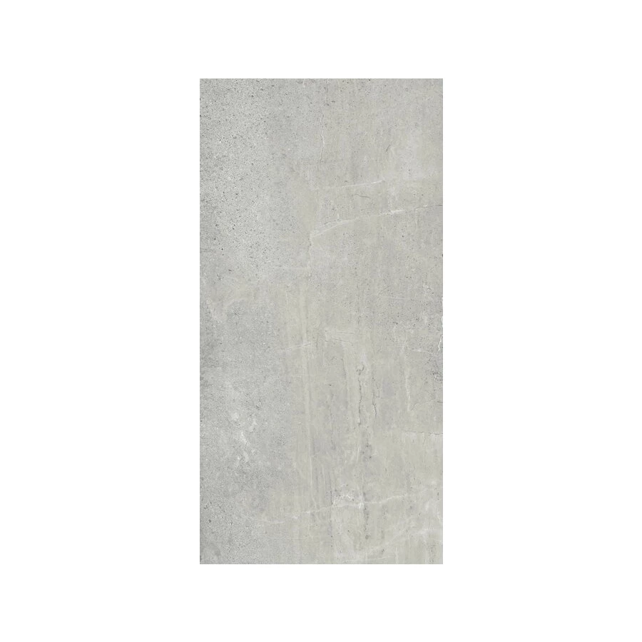 Керамогранит ProGRES Simfony матовый серый PRO 0243M 120х60 см