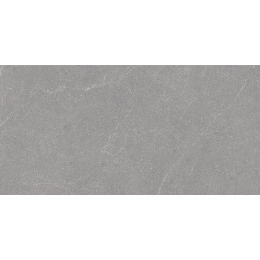 Керамогранит Duna Elenta Grey Carving темно-серый RP-238579 120х60 см