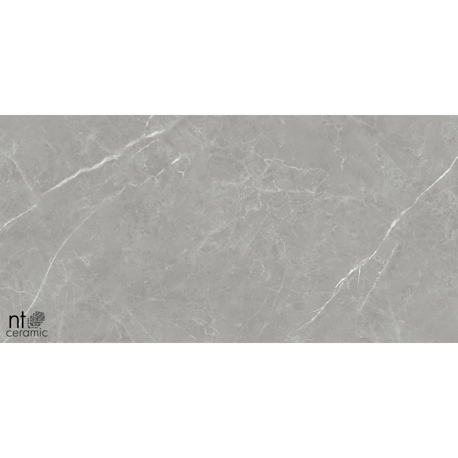 Керамогранит NT Ceramic Pietra NTT1102 Лаппатированный PT612NTT1102L 120х60 см