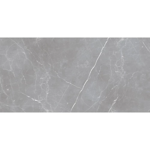 Керамогранит Ocean Ceramic Iran Iran 20мм Arion Gray Dark матовый серый IRN000050 121х61 см