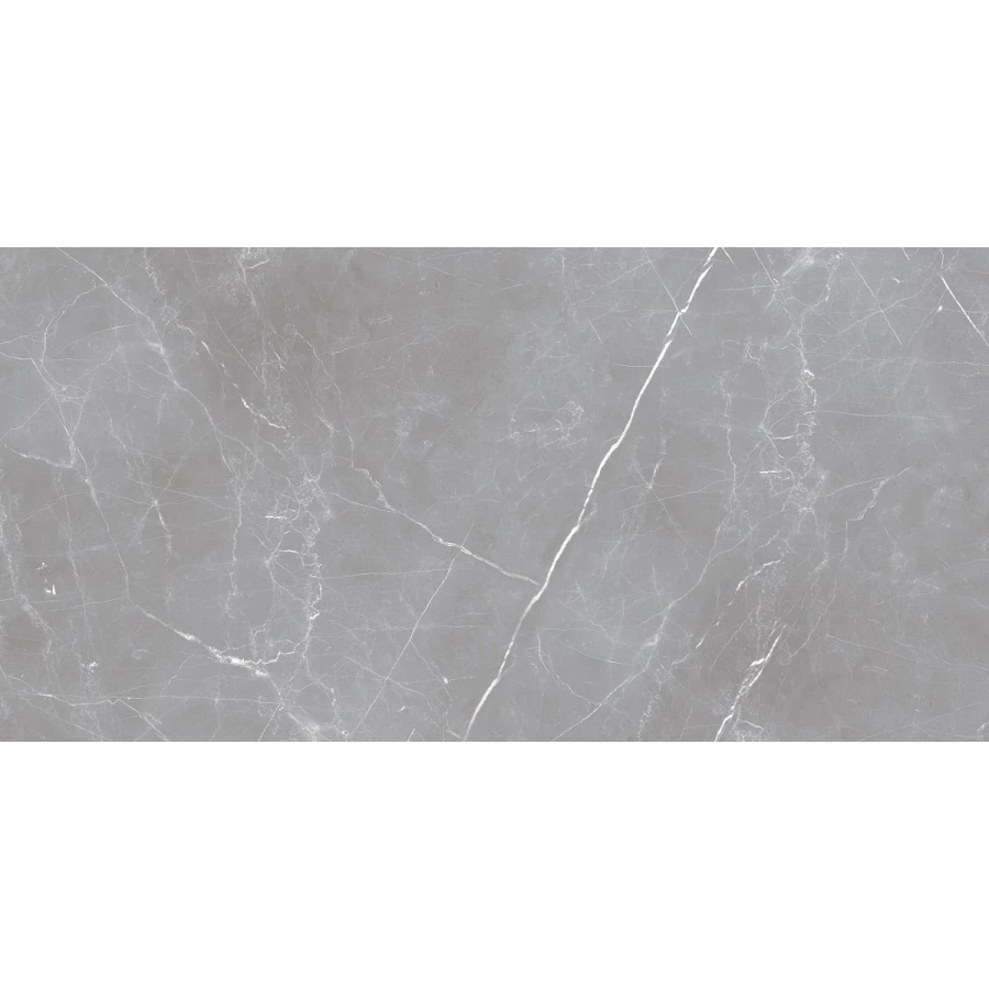 Керамогранит Ocean Ceramic Iran Iran 20мм Arion Gray Dark матовый серый IRN000050 121х61 см