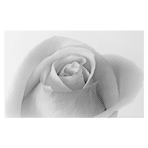 Декор Шахтинская плитка Камелия черный 01 25x40